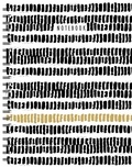 SODIS - Grand carnet à spirale Noir-blanc-or. Notebook