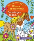Petra Theissen - Coloriages codés - Manege Coloring Fun.