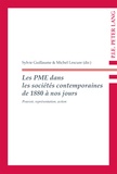 Sylvie Guillaume - Les PME dans les sociétés contemporaines de 1880 à nos jours : pouvoir, représentation, action.