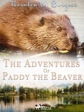 Thornton W. Burgess - The Adventures of Paddy the Beaver.