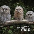  Ivan Esenko et  David Withrington - How they live... Owls - Learn All There Is to Know About These Animals!.