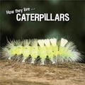 David Withrington et Ivan Esenko - How they live... Caterpillars - Learn All There Is to Know About These Animals!.