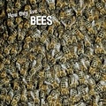 David Withrington et Ivan Esenko - How they live... Bees - Learn All There Is to Know About These Animals!.