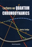 Andrei Smilga - Lectures on Quantum Chromodynamics.
