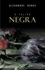 Alexandre Dumas - A Tulipa Negra.