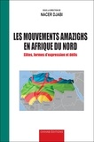 Nacer Djabi - Les mouvements amazighs en Afrique du nord - Elites, formes d'expression et défis Maroc, Algérie, Tunisie, Libye et Egypte.