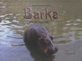 Béatrice Lalinon Gbado - Barka - L'ami de Sayouba.
