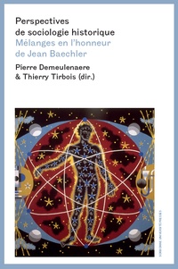 Pierre Demeulenaere et Thierry Tirbois - Perspectives de sociologie historique - Mélanges en l'honneur de Jean Baechler.