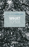 Christophe Lamiot enos enos - What to see.