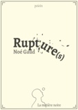 Noé Gaud - Rupture(s).