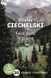 Olivier Ciechelski - Feux dans la plaine.