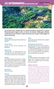 Algues & plantes du bord de mer. Observer et reconnaître 50 espèces de notre littoral