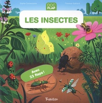 Sophie Dussaussois et Florence Guittard - Les insectes.