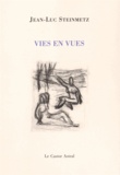 Jean-Luc Steinmetz - Vies en vue.