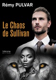 Rémy Pulvar - Le chaos de Sullivan.