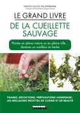 Amaya Calvo Valderrama - Le grand livre de la cueillette sauvage.