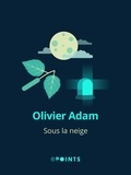 Olivier Adam - Sous la neige.