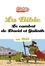Philippe Nicloux et Gwenaelle Boulet - La Bible en BD, Le combat de David et Goliath.