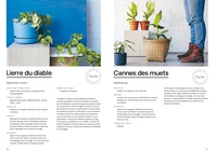 Plant society. Végétalisez votre intérieur avec style