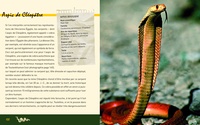 Serpents et autres reptiles. Espèces, mode de vie, comportement