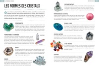 Le pouvoir des cristaux. 100 cristaux pour réaliser ses rêves