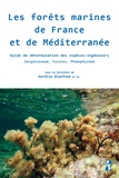 Aurélie Blanfuné - Les forêts marines de France et de Méditerranée - Guide de détermination des espèces-ingénieurs Sargassaceae, Fucales, Phaeophyceae.