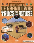 Stéphane Pilet - Minecraft - Le grand livre des trucs et astuces - Spécial Biomes.