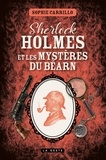 Sophie Carrillo - Sherlock holmes et les mysteres du bearn (geste).