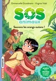Emmanuelle Grundmann - SOS Animaux sauvages, Tome 03 - Sauvons les orangs-outans !.