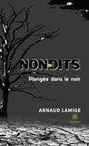 Arnaud Lamige - Non-dits - Plongée dans le noir.