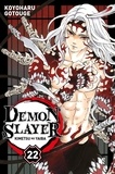 Koyoharu Gotouge - Demon Slayer T22.