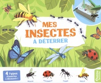 Diego Vaisberg - Mes insectes à déterrer - Coffret avec 1 livret explicatif, 1 marteau, 1 burin, 1 pinceau et 1 bloc de plâtre.