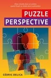 Cédric Delica - Puzzle perspective.