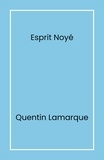 Quentin Lamarque - Esprit noyé.