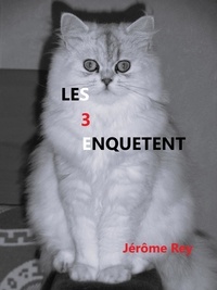 Jérôme Rey - Les 3 enquêtent.
