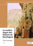 Thierry Essengue - Le Mulâtre dogon des falaises de Bandiagara.