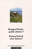 Yann Bevant et Laurent Daniel - Bretagne/Irlande : quelles relations ?.