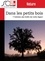 Pierre Tillinac et Jacques Ripoche - Dans les petits bois - 7 histoires des forêts du Sud-Ouest.