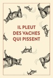 Emmanuel Blervaque et Stéphane Ellias - Il pleut des vaches qui pissent - 300 accidents d'expressions : une seule victime, la langue française....