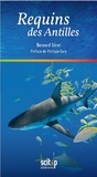 Bernard Séret - Requins des Antilles.