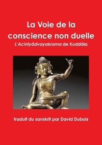 (traducteur) david Dubois - La Voie de la conscience non duelle.