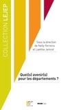 Nelly Ferreira et Laetitia Janicot - Quel(s) avenir(s) pour les départements ?.