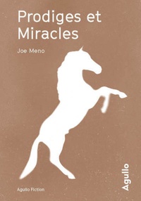 Joe Meno - Prodiges et miracles.
