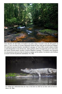 Journal d'expéditions en Amazonie