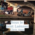 Chris Ames - Sous le pont Laënnec.
