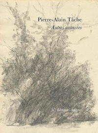 Pierre-Alain Tâche - Autres avancées.