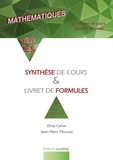 Elisa Calvo et Jean-Marc Fitoussi - Maths 1ère ES - Synthèse de cours et livret de formules.