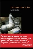 Sylvie Krier - Un cheval dans la tête.