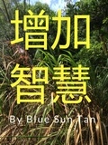  Blue Sun Tan - 增加智慧.