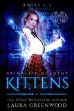 Laura Greenwood - Grimalkin Academy: Kittens Books 1-3 - The Obscure World, #3.